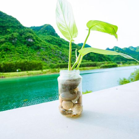 Phong Nha A Little Leaf Homestay Bagian luar foto
