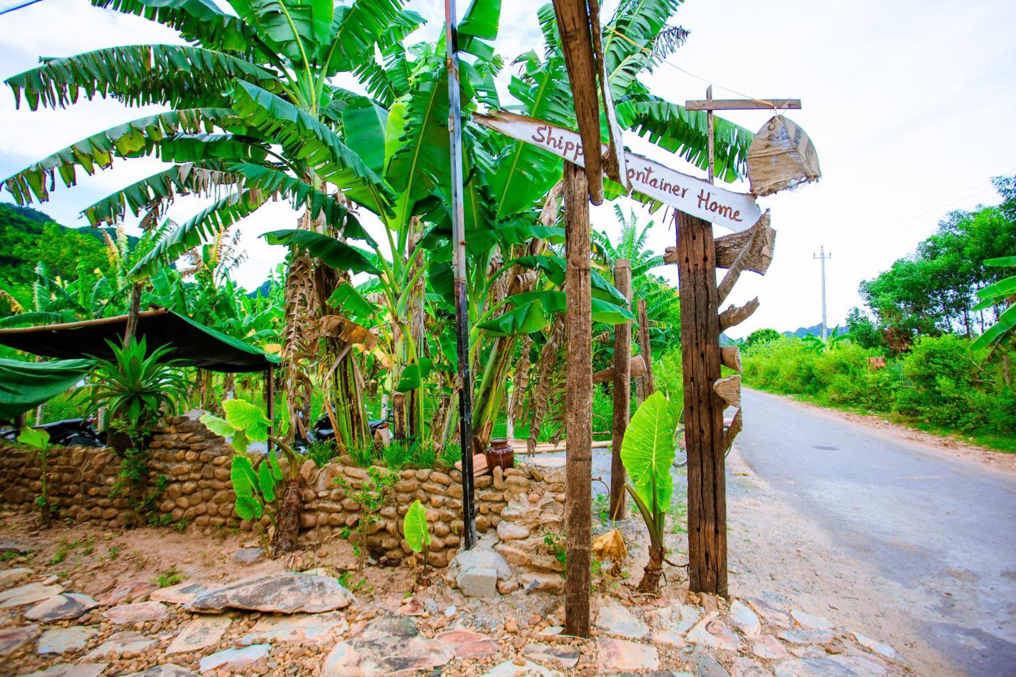 Phong Nha A Little Leaf Homestay Bagian luar foto