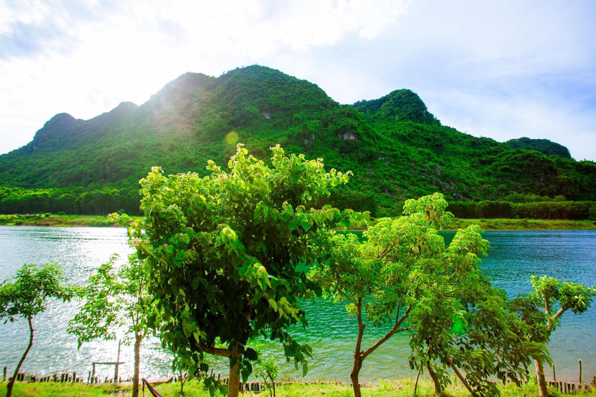 Phong Nha A Little Leaf Homestay Bagian luar foto