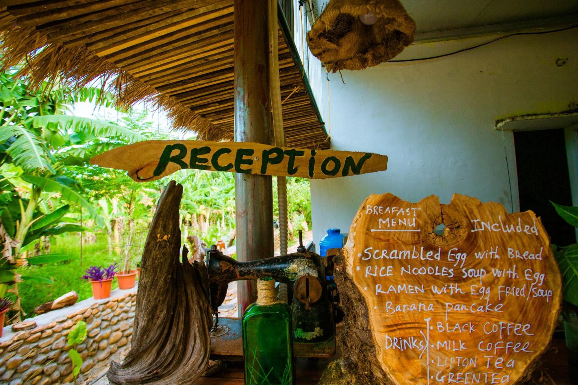 Phong Nha A Little Leaf Homestay Bagian luar foto