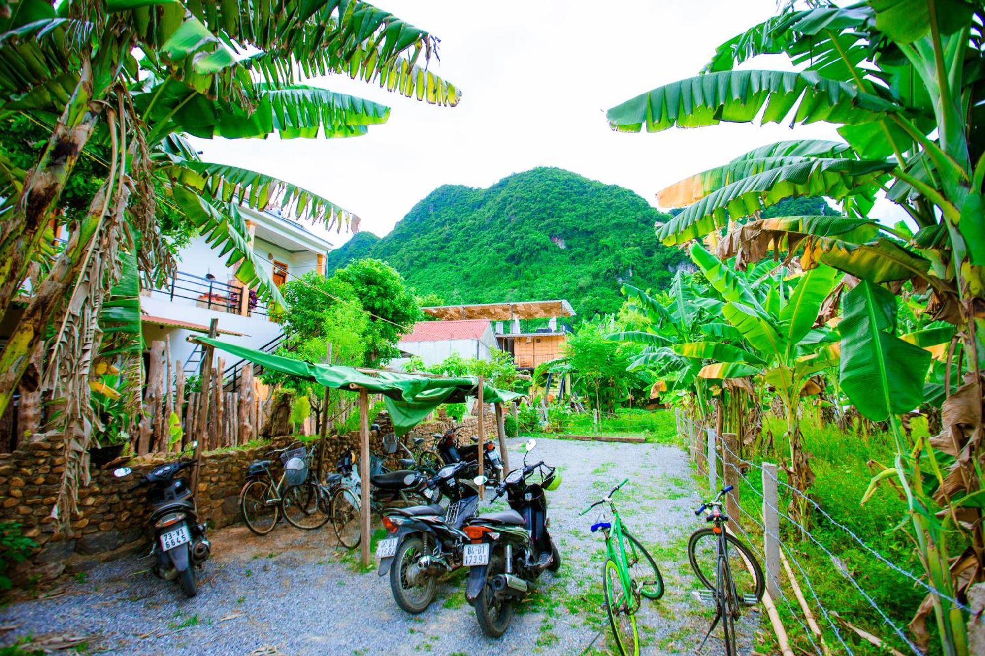 Phong Nha A Little Leaf Homestay Bagian luar foto
